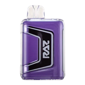 Grape Ice Raz TN9K Disposable Vape